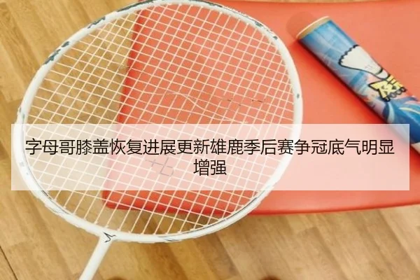 字母哥膝盖恢复进展更新雄鹿季后赛争冠底气明显增强